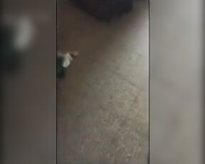 Verdammt sie weiß wie man den Schwanz lutscht und das Sperma am Ende isst